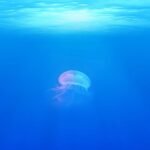 Galaxy’s Edge the best thing about it visitors just.