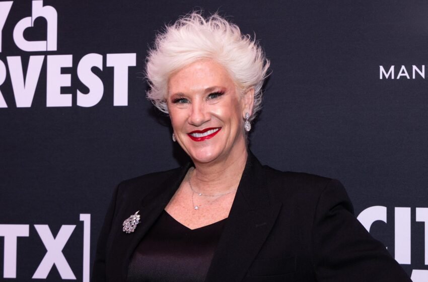  Remembering Anne Burrell: The Life and Legacy of a Culinary Icon