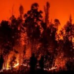 Indonésie : Crash d’avion