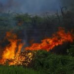 d’Afrique du Sud : un incendie s’est éclaté dans une partie de l’hôpital provincial de Paarl.